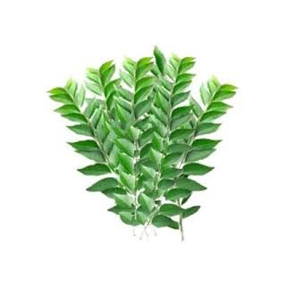 # FRESH CURRY LEAVES