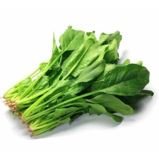 FRESH SPINACH (PALAK)