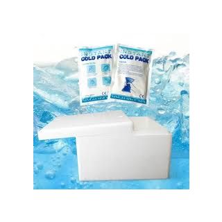 Styrofoam Ice Pack (Big about 10kg)